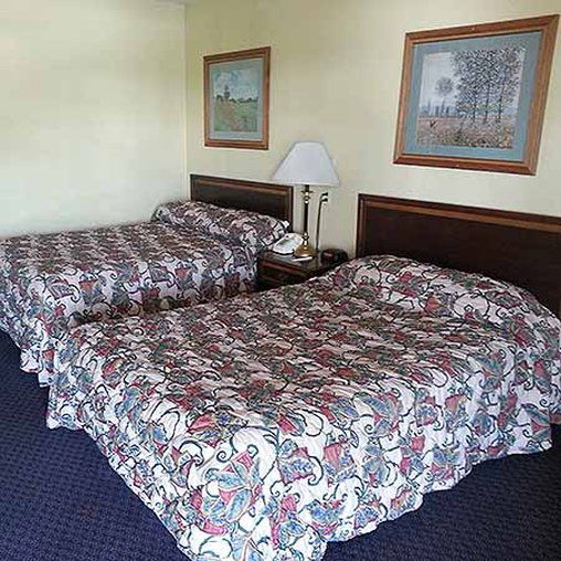 Red Roof Inn Redding Ruang foto